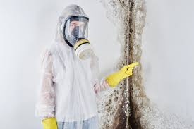 Best Residential Mold Inspection & Testing  in Wd, AR